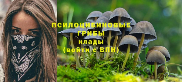 MDMA Богородск
