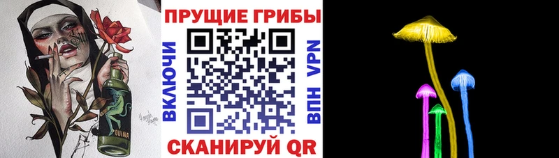 продажа наркотиков  Тулун  Галлюциногенные грибы Cubensis 